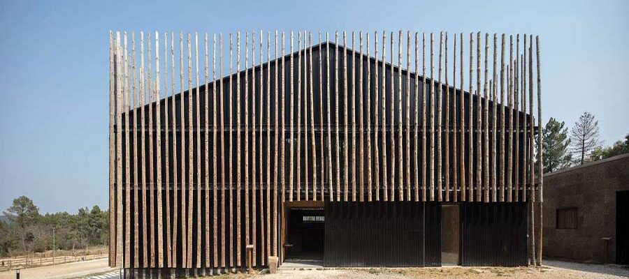 Preserving Tradition: Pedras Salgadas Horse Riding Centre