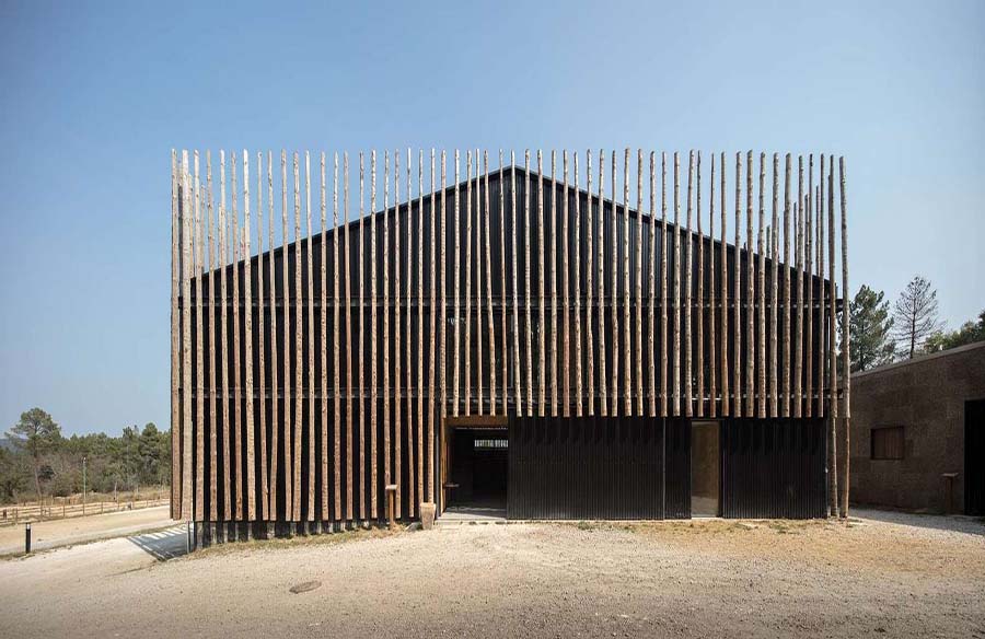 Preserving Tradition: Pedras Salgadas Horse Riding Centre