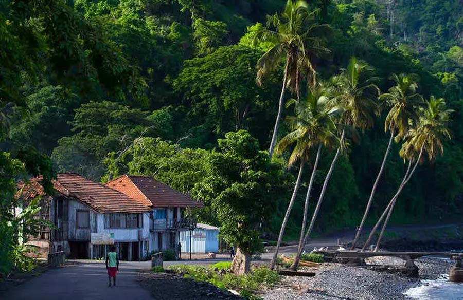 Passengers Stranded After Missing Cruise Ship’s Boarding Deadline