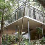 Rooted Female Brazilian Artists by Brainlab